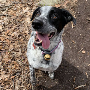 Meet your Posher, Mackenzie